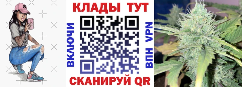 Какие есть наркотики Судогда MEGA рабочий сайт  COCAIN  МЕФ  Каннабис  АМФ  Галлюциногенные грибы  ГАШИШ  Alpha PVP 