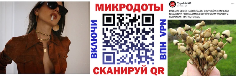 Псилоцибиновые грибы GOLDEN TEACHER  Судогда 